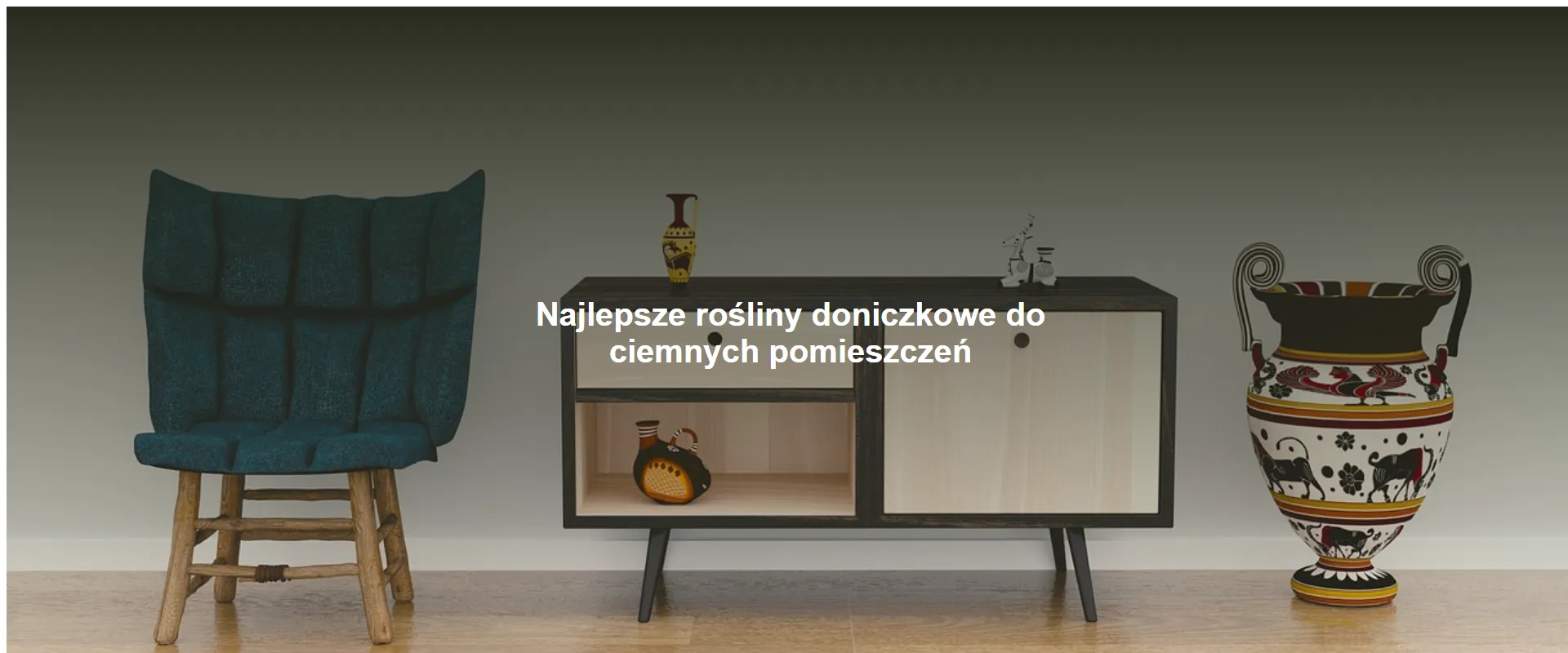 Najlepsze rośliny doniczkowe do ciemnych pomieszczeń