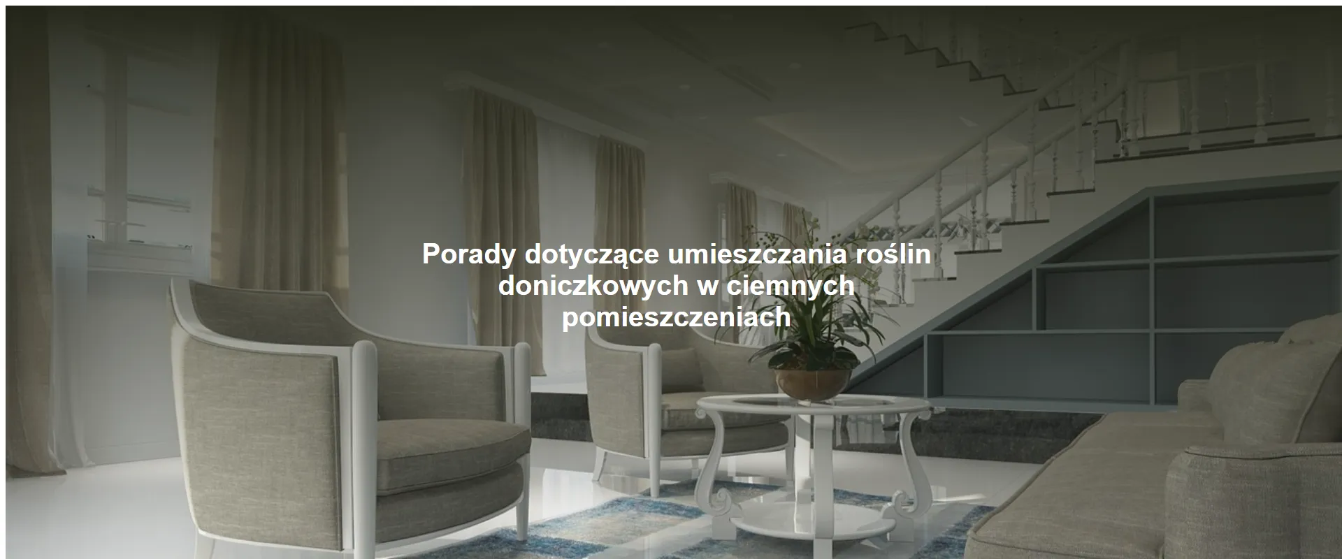 Porady dotyczące umieszczania roślin doniczkowych w ciemnych pomieszczeniach