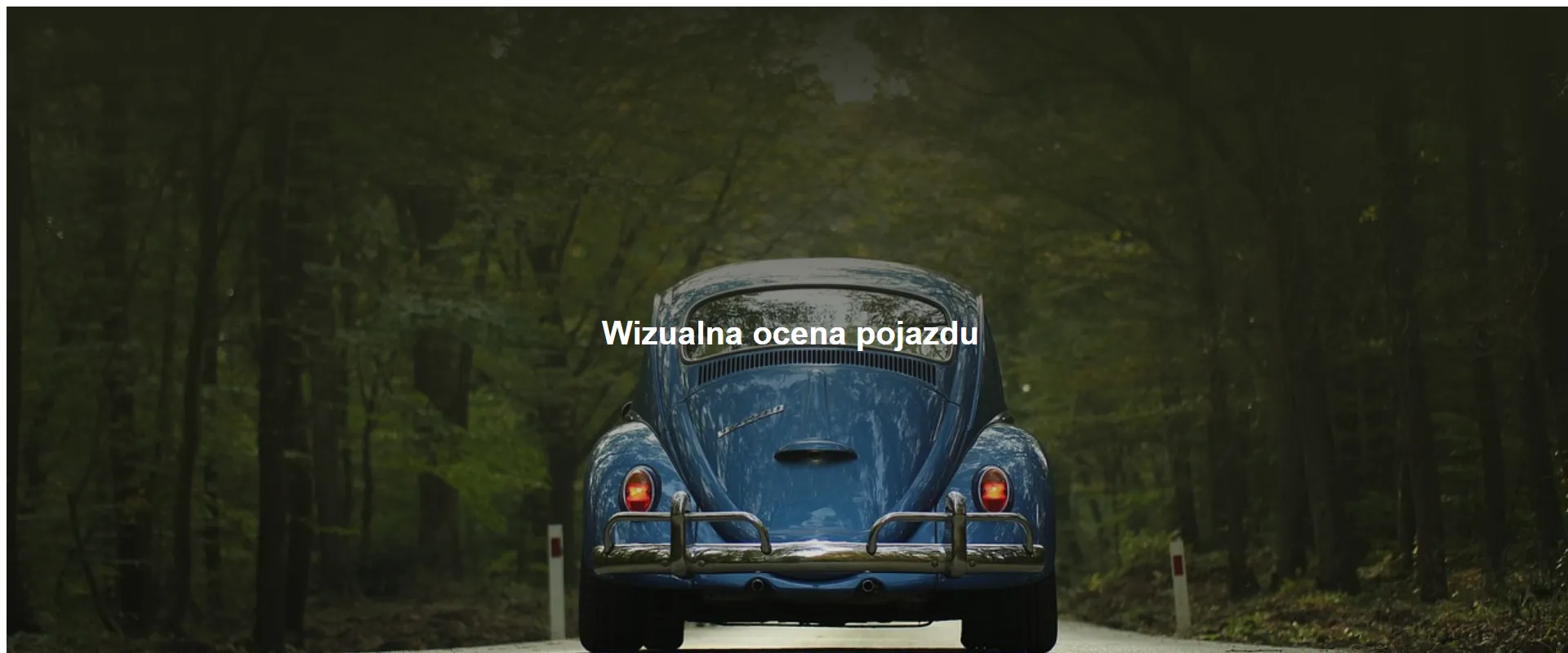 Wizualna ocena pojazdu